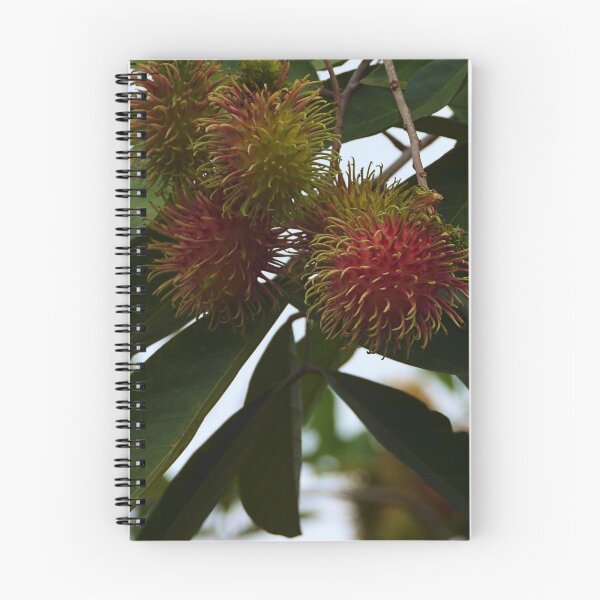 Item preview, Red Ripe Rambutan designed and sold by mrtraz.