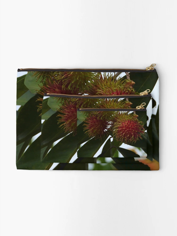 Thumbnail 2 of 4, Zipper Pouch, Red Ripe Rambutan designed and sold by mrtraz.