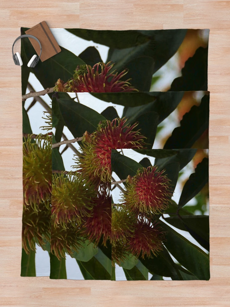Thumbnail 5 of 6, Throw Blanket, Red Ripe Rambutan designed and sold by mrtraz.