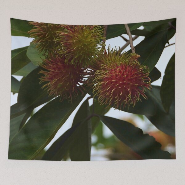 Item preview, Red Ripe Rambutan designed and sold by mrtraz.