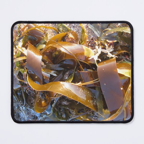 Item preview, Seaweed Of Gold designed and sold by lezvee.