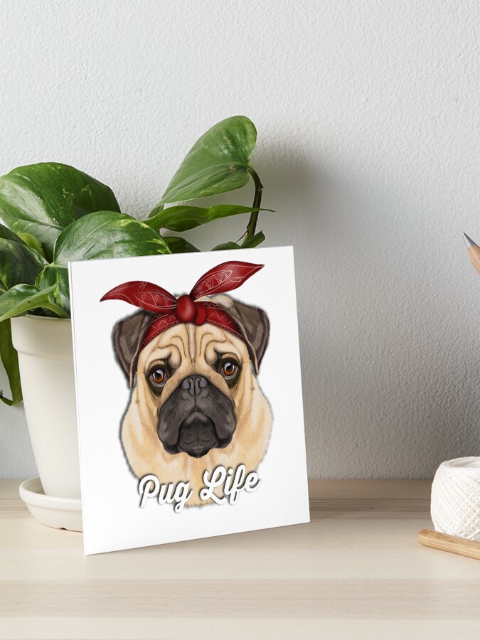 dog with bandana on head