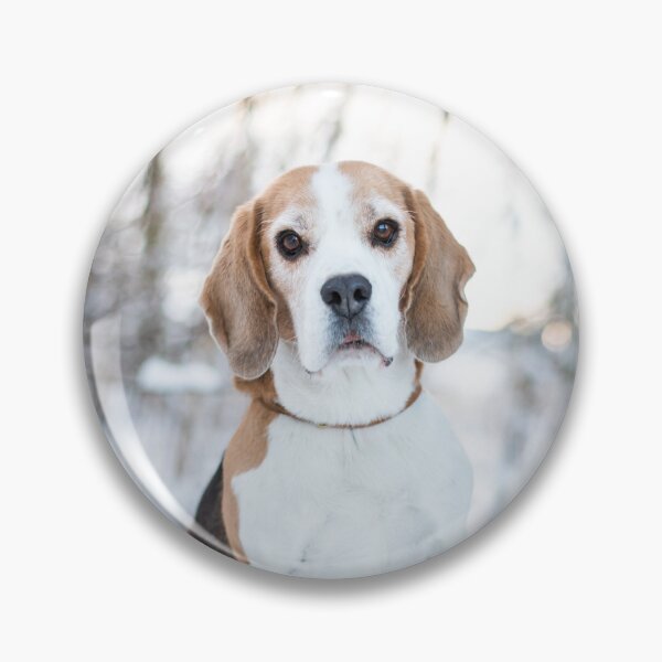 Item preview, Beagles en la nieve designed and sold by WeightPulling.