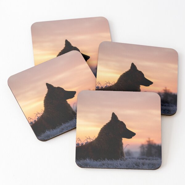Item preview, Westerwald Kuhhund (Old German Shepherd Dog, Old German Sheepdog) designed and sold by WeightPulling.