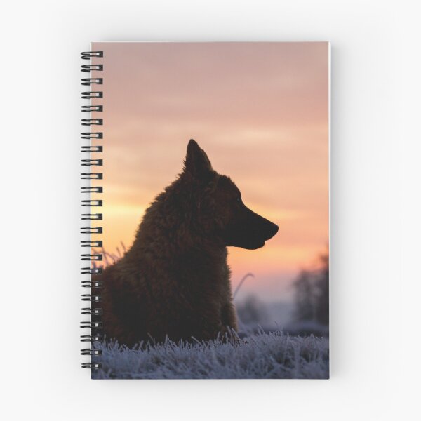 Item preview, Westerwald Kuhhund (Old German Shepherd Dog, Old German Sheepdog) designed and sold by WeightPulling.