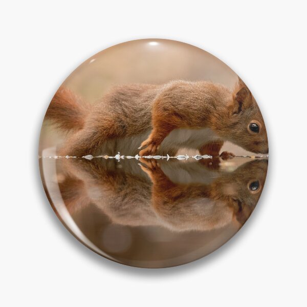 Item preview, red squirrel designed and sold by GeaStrucks.