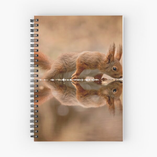 Item preview, red squirrel designed and sold by GeaStrucks.