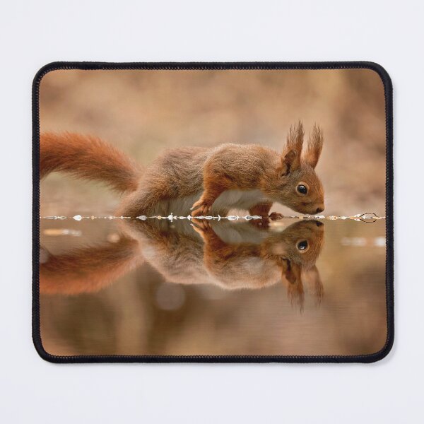 Item preview, red squirrel designed and sold by GeaStrucks.