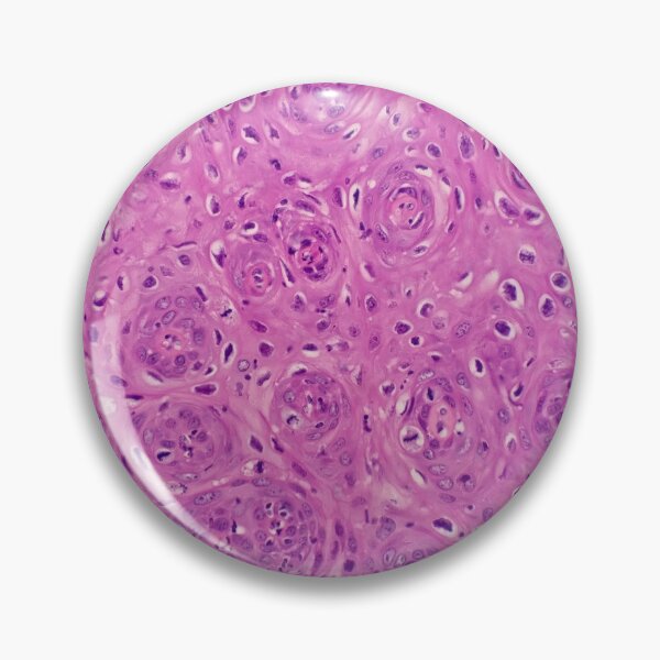 Item preview, Histology of squamous epithelium, 100x, H&E designed and sold by Psymier.