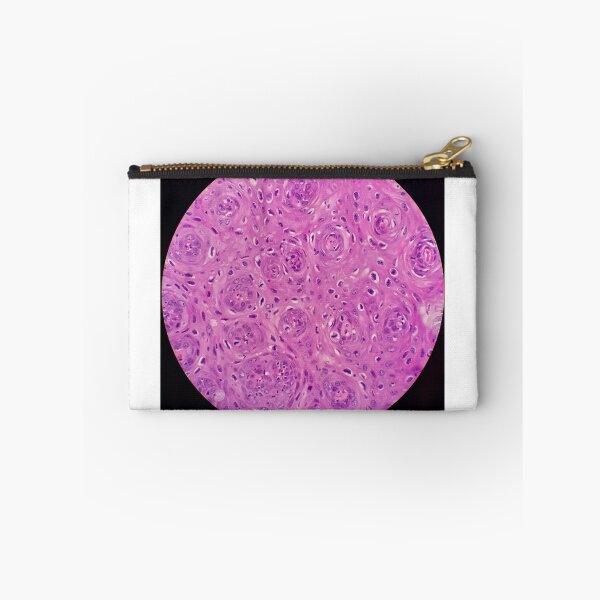Item preview, Histology of squamous epithelium, 100x, H&E designed and sold by Psymier.