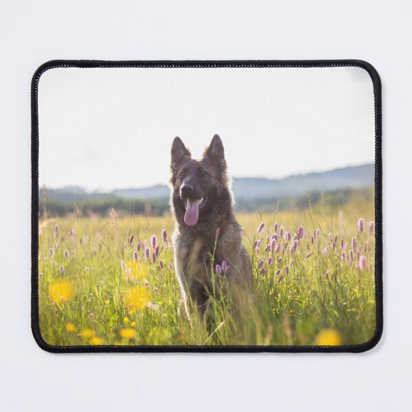 Item preview, German shepherd in the flower meadow designed and sold by WeightPulling.