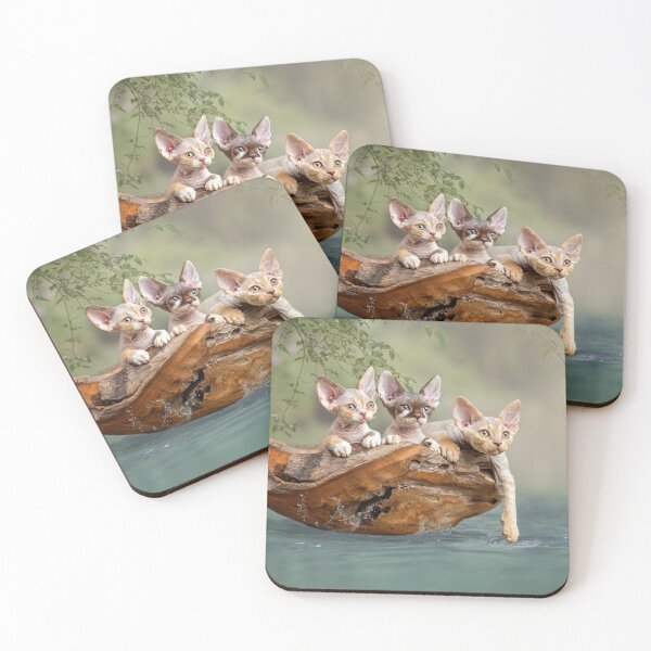 Item preview, Devon rex kittens in a boat designed and sold by GeaStrucks.