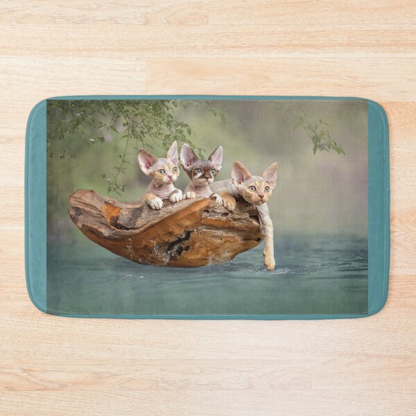 Item preview, Devon rex kittens in a boat designed and sold by GeaStrucks.