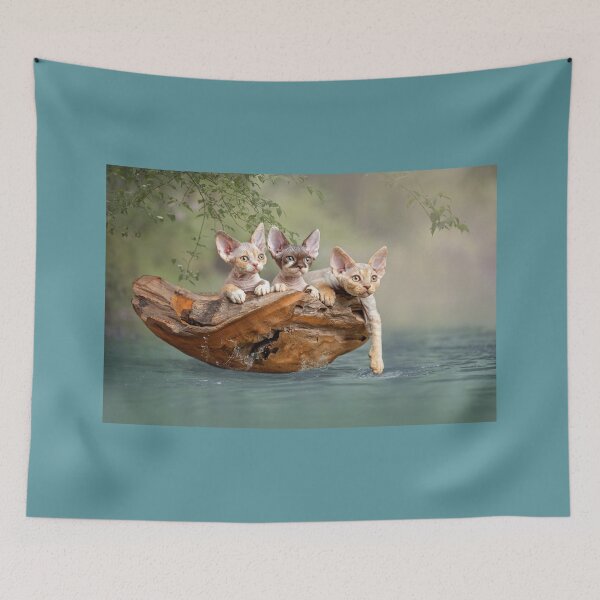 Item preview, Devon rex kittens in a boat designed and sold by GeaStrucks.