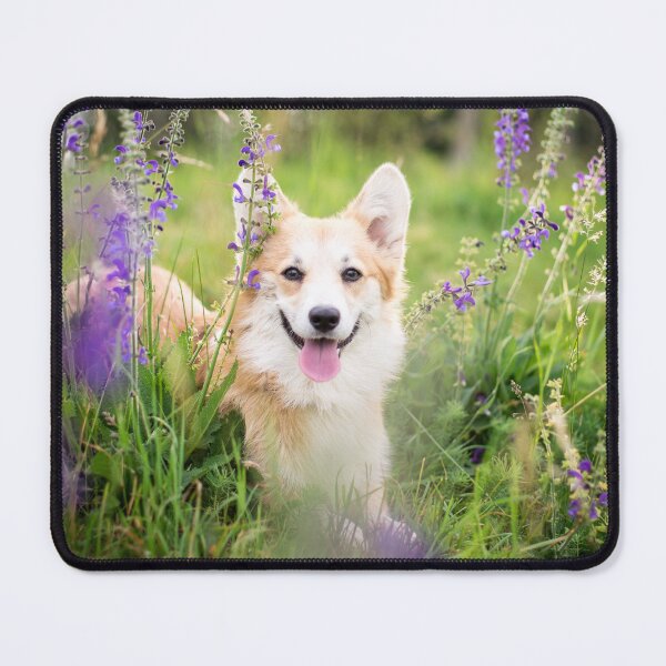 Item preview, Corgi Galés Pembroke designed and sold by WeightPulling.