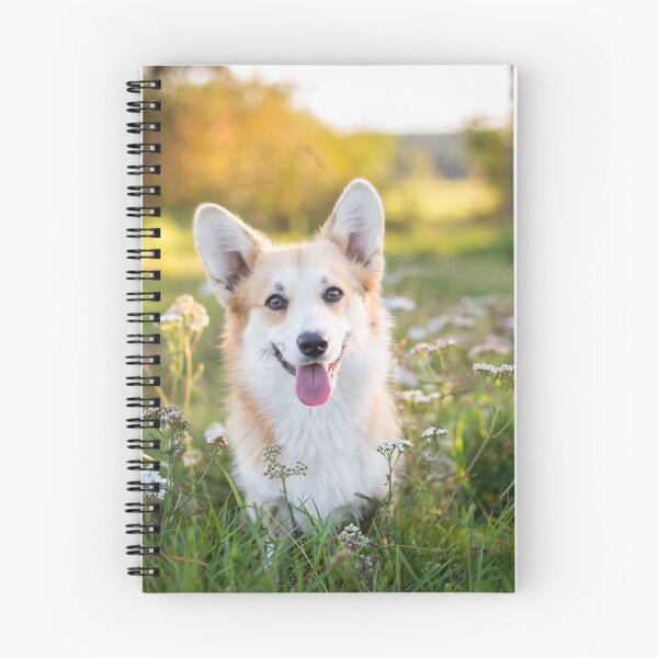 Artikelvorschau, Welsh Corgi Pembroke entworfen und verkauft von WeightPulling.