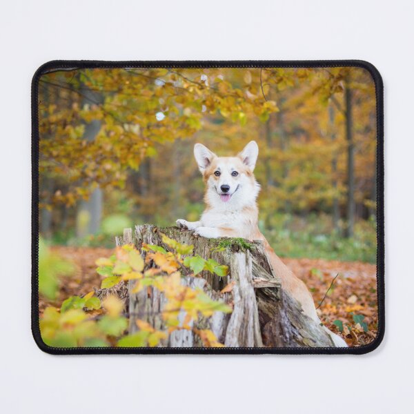 Artikelvorschau, Welsh Corgi Pembroke entworfen und verkauft von WeightPulling.
