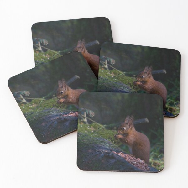 Item preview, Cute Red Squirrel Eating Food designed and sold by din-phto.