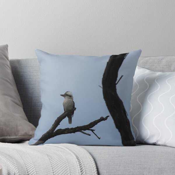 Artikelvorschau, Kookaburra in einem Baum entworfen und verkauft von KazM.