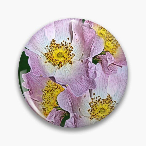 Item preview, 4 rosas de perro sobre un fondo de hojas designed and sold by Robin3DT.