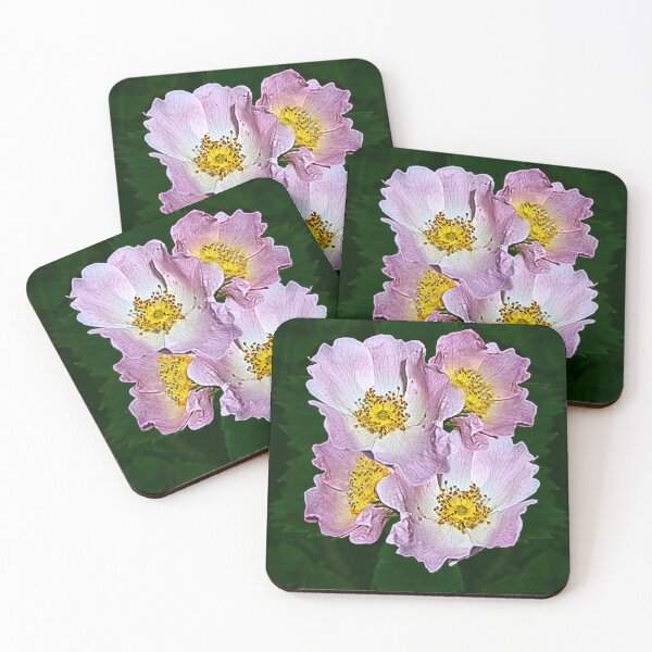 Item preview, 4 Dog Roses on a leaf background designed and sold by Robin3DT.