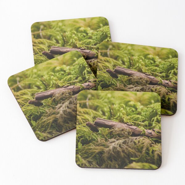 Item preview, Stick In Moss designed and sold by din-phto.