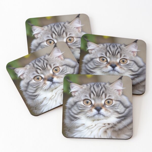 Item preview, Surprised Cat Mugshot Scared Fluffy Kitten Close Up  designed and sold by Michael Voyler.