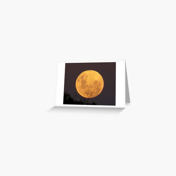 Moon in Aquarius 1 Greeting Card