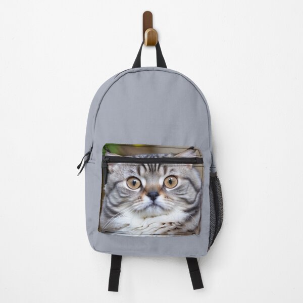 Item preview, Surprised Cat Mugshot Scared Fluffy Kitten Close Up  designed and sold by Michael Voyler.