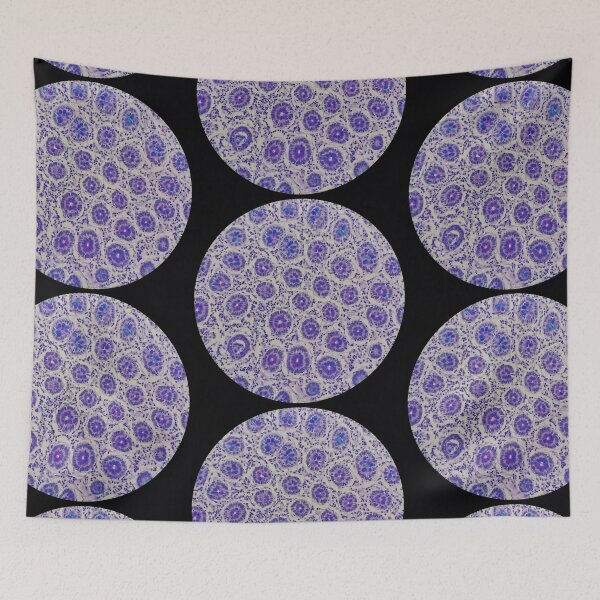 Item preview, Large bowel histology, 200x, AB/PAS stain designed and sold by Psymier.