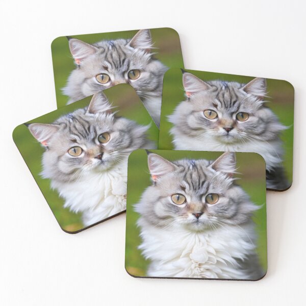 Item preview, Scruffy Cat Mugshot Cute Fluffy Kitten designed and sold by Michael Voyler.