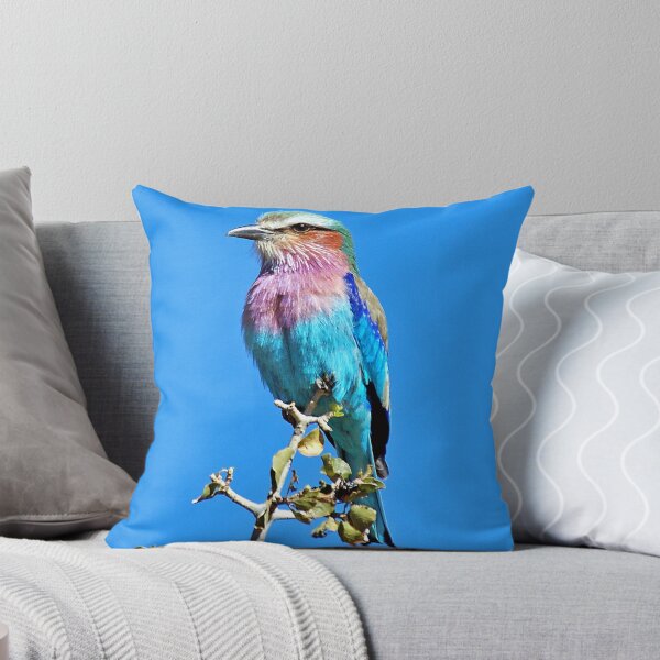Item preview, Lilac Breasted Roller designed and sold by ten2eight.