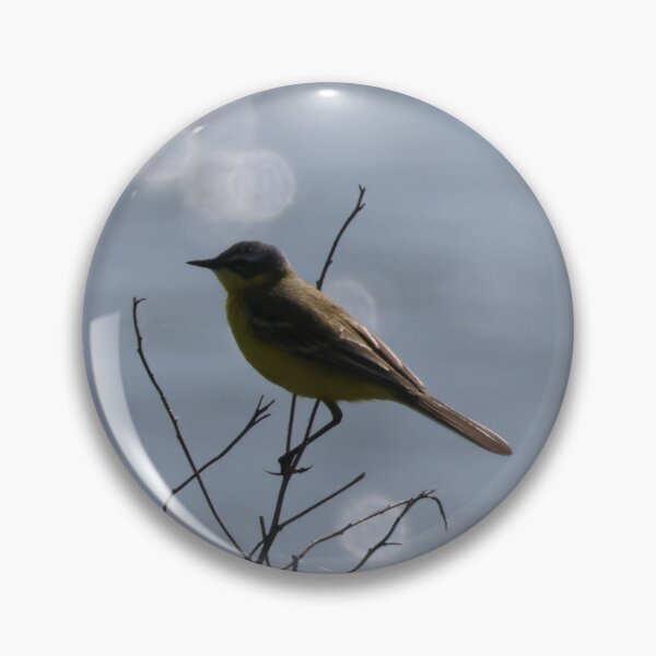 Item preview, Yellow Wagtail designed and sold by Jolande.