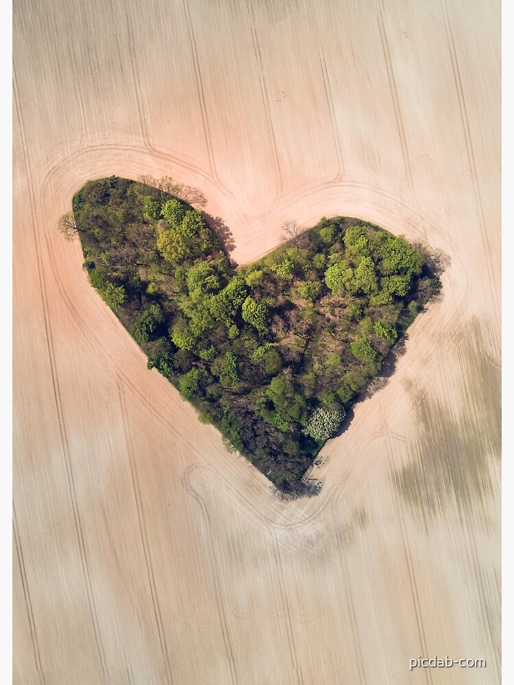 Thumbnail 3 of 3, Poster, Heart-shaped green grove among a field of grain designed and sold by picdab-com.