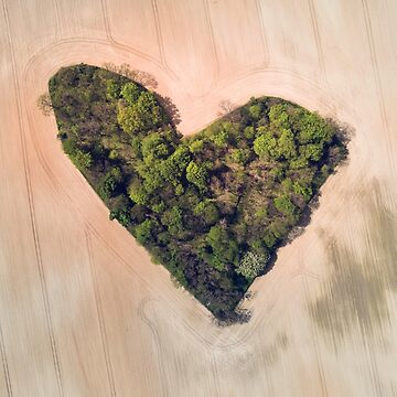 Artwork thumbnail, Heart-shaped green grove among a field of grain by picdab-com