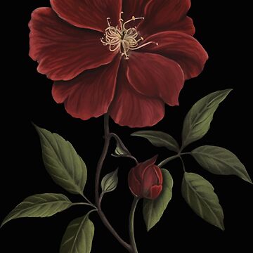 Artwork thumbnail, Dark Academia Victorian Red Flower by Enyr