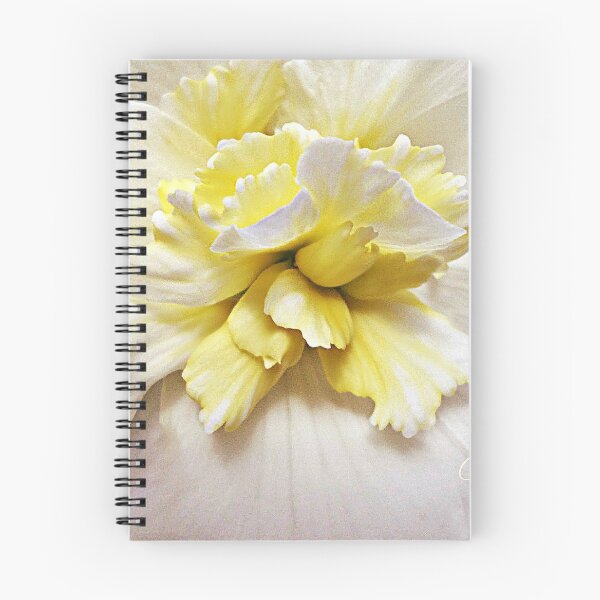 Item preview, Up Close And Personal With A Begonia designed and sold by CJ Anderson.