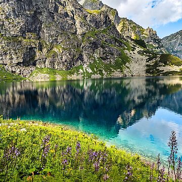 Artwork thumbnail, Mountains landscape flowers and lake by picdab-com