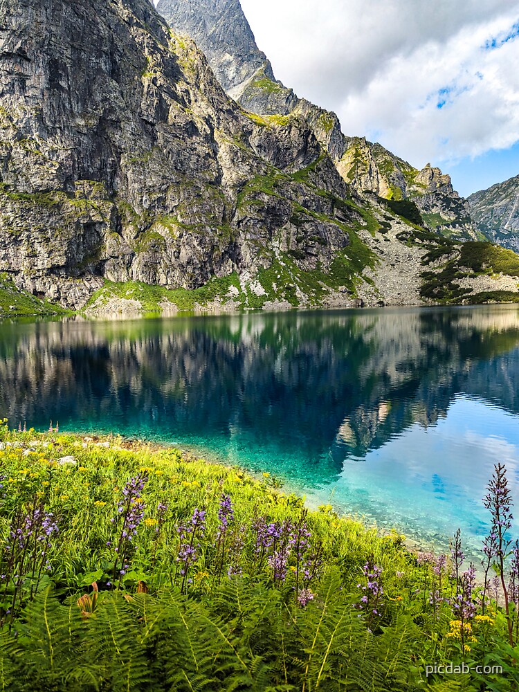 Thumbnail 7 of 7, Classic T-Shirt, Mountains landscape flowers and lake designed and sold by picdab-com.