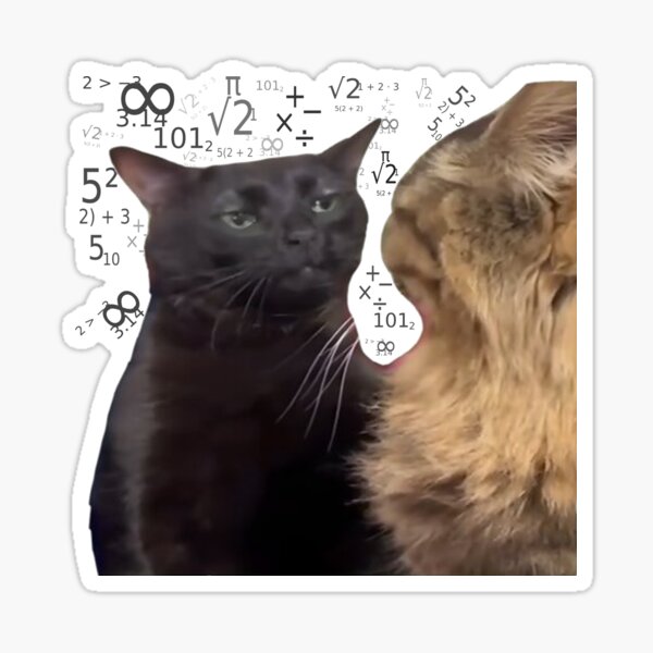 Angry cat meme  Cat memes, Cute black cats, Funny animal memes