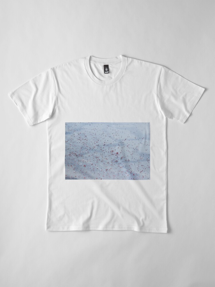 Alternate view of winter, ashberry on the snow Premium T-Shirt