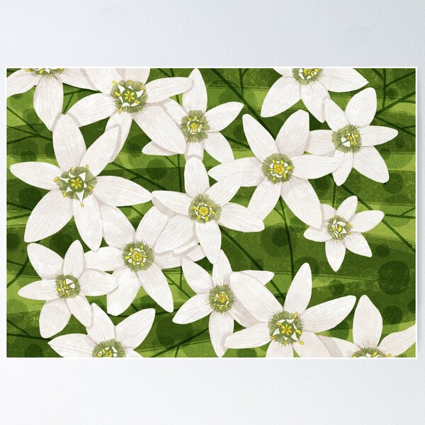 Beautiful Jasmine Flowers White – Wallmonkeys