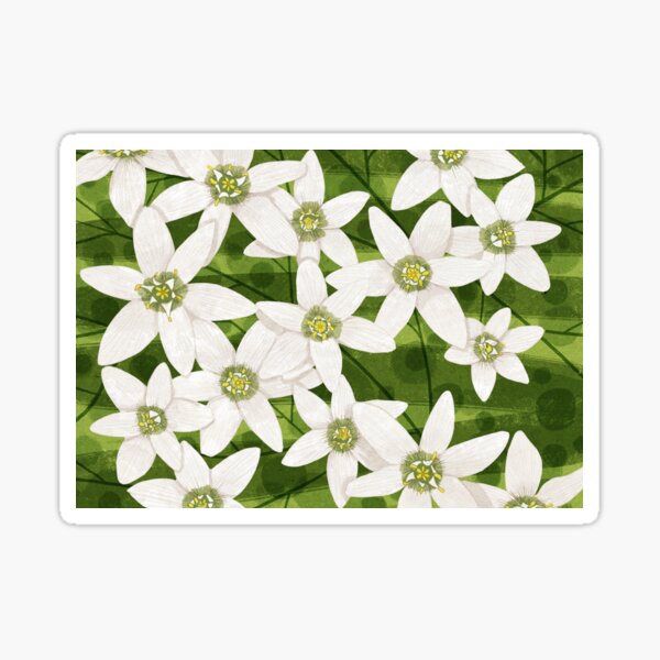 Jasmine Sticker