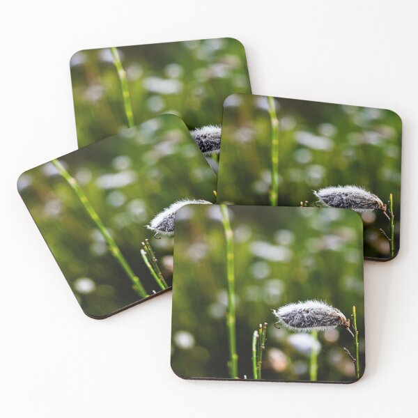 Item preview, Soft designed and sold by NunoPires.