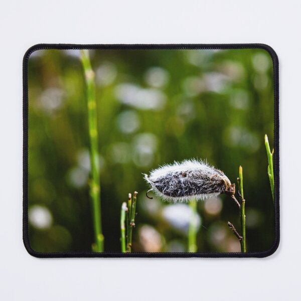 Item preview, Soft designed and sold by NunoPires.