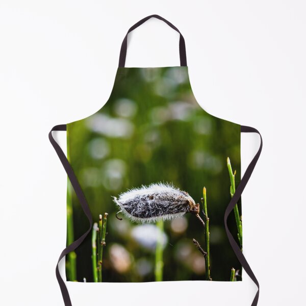 Item preview, Soft designed and sold by NunoPires.