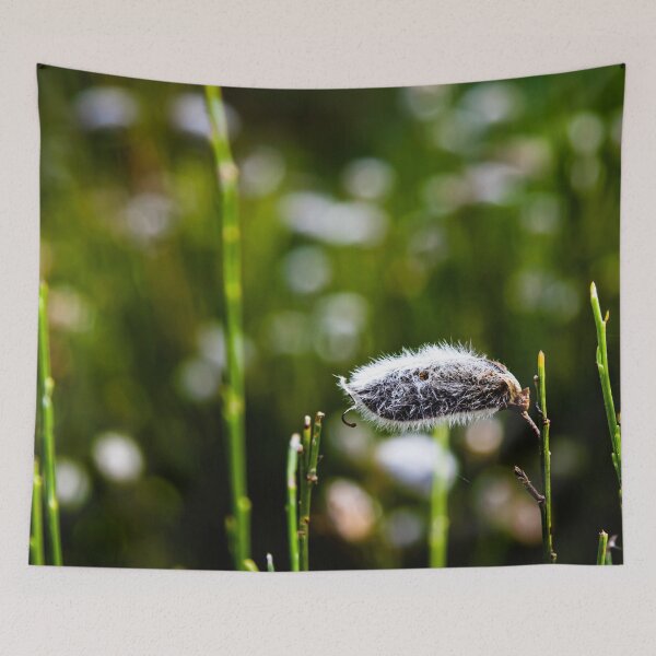 Item preview, Soft designed and sold by NunoPires.