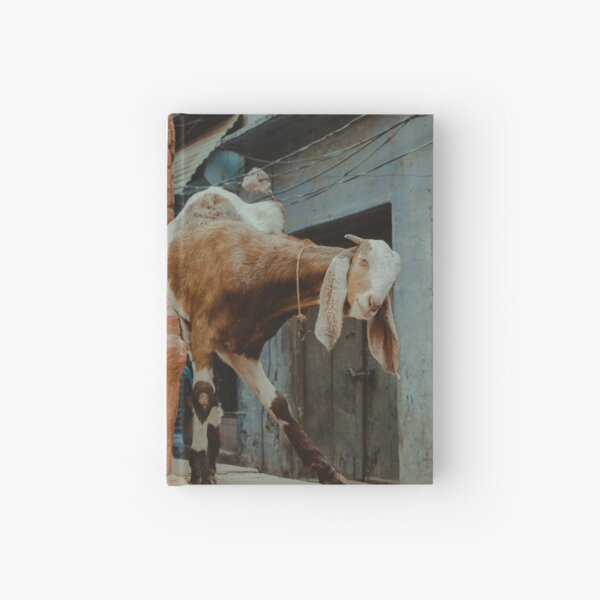 Long-Eared Friendly Face Hardcover Journal