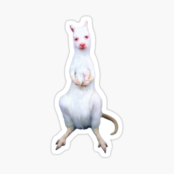 Item preview, FRANK  the wallaby and fathead baby  designed and sold by Adele Morse.