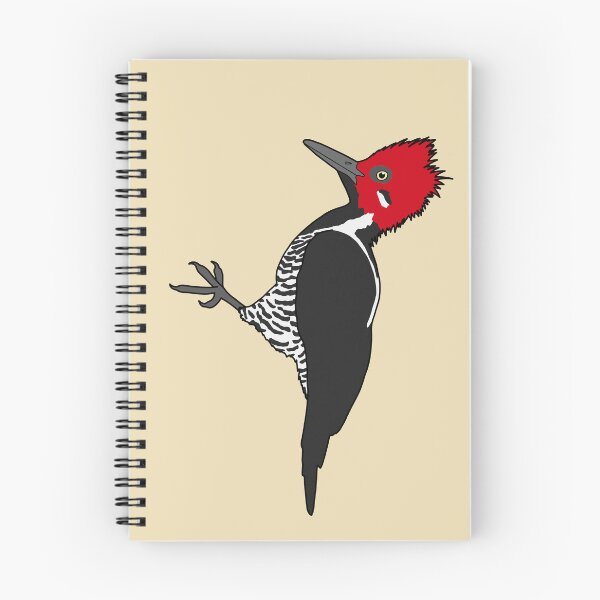 Item preview, Guayaquil Woodpecker designed and sold by taylorrowan.